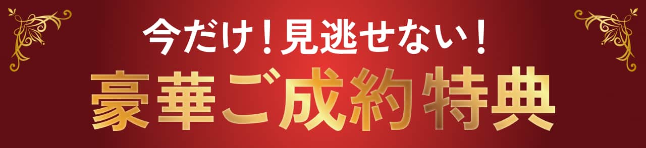 今だけ！見逃せない！豪華ご成約特典